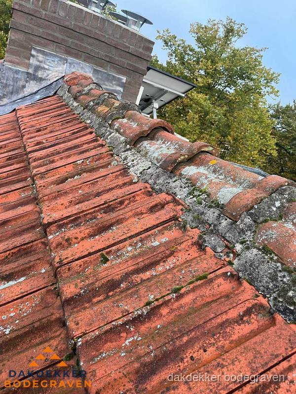 Verweerd hellend dak met mosgroei op nokvorst in Bodegraven