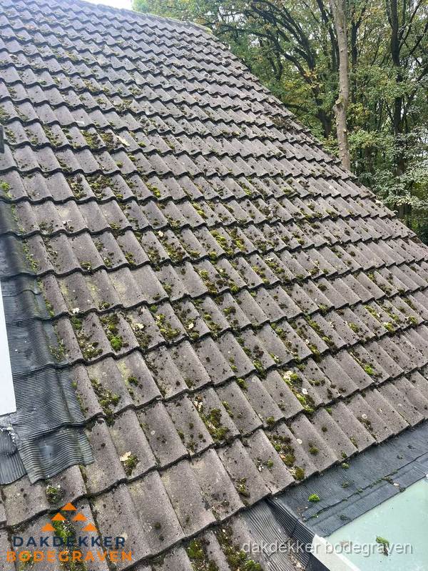 Verweerd pannendak met mosgroei dat renovatie nodig heeft in Bodegraven Verweerd pannendak met mosgroei dat renovatie nodig heeft in Bodegraven